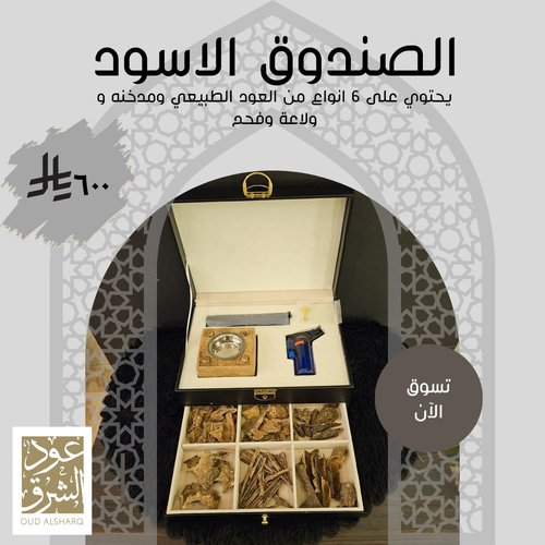 الصندوق الاسود