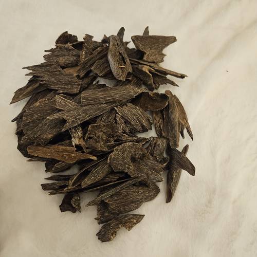 عود ماليزي دبل غابة صباح