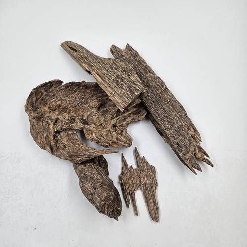 عود سومطري