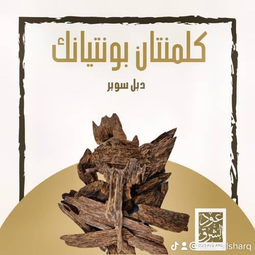 كلمنتان بونتيانك