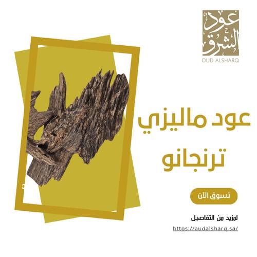 عود ماليزي ترنجانو