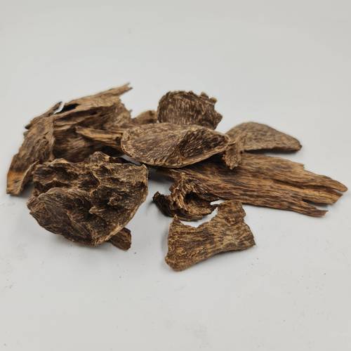 عود سمباوا
