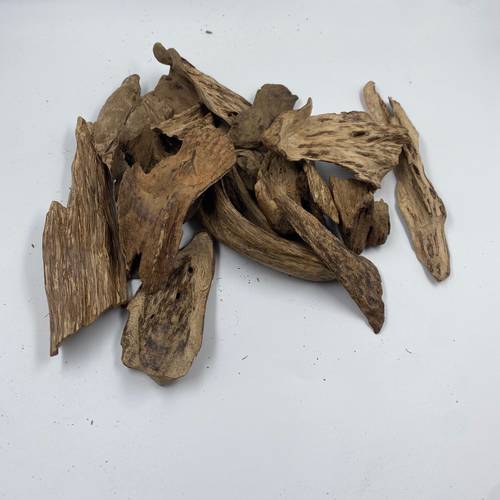 عودسيلاني