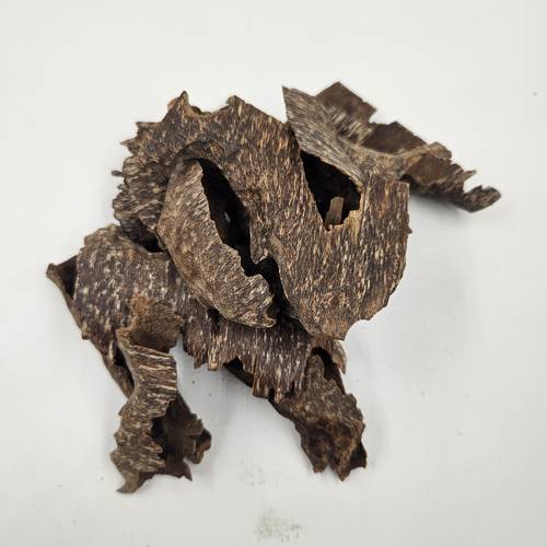 كمبودي مستزرع دبل سوبر