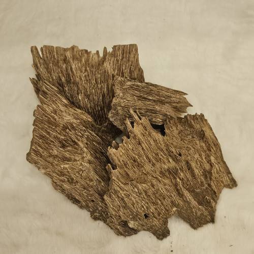 عود فلوريس