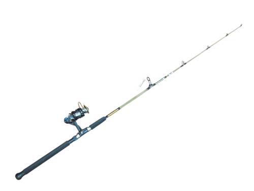 Fishing Rod (Daiwa) قصبة صب قطعتين