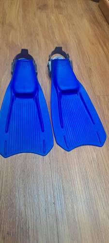 Small fins Blue
