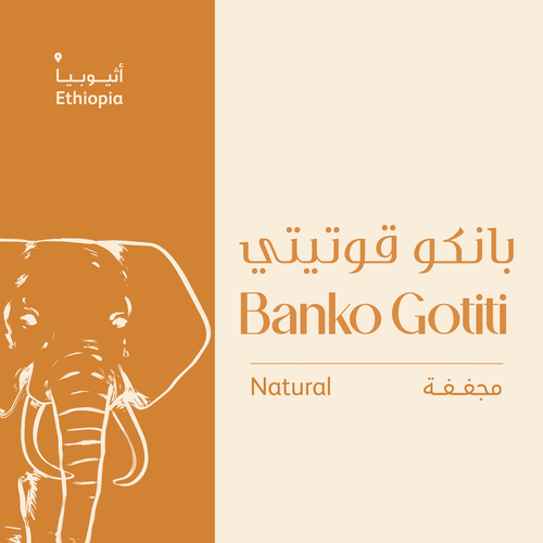  Banko Gotiti - Ethiopia Natural