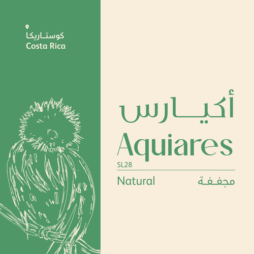 Aquiares SL_28
