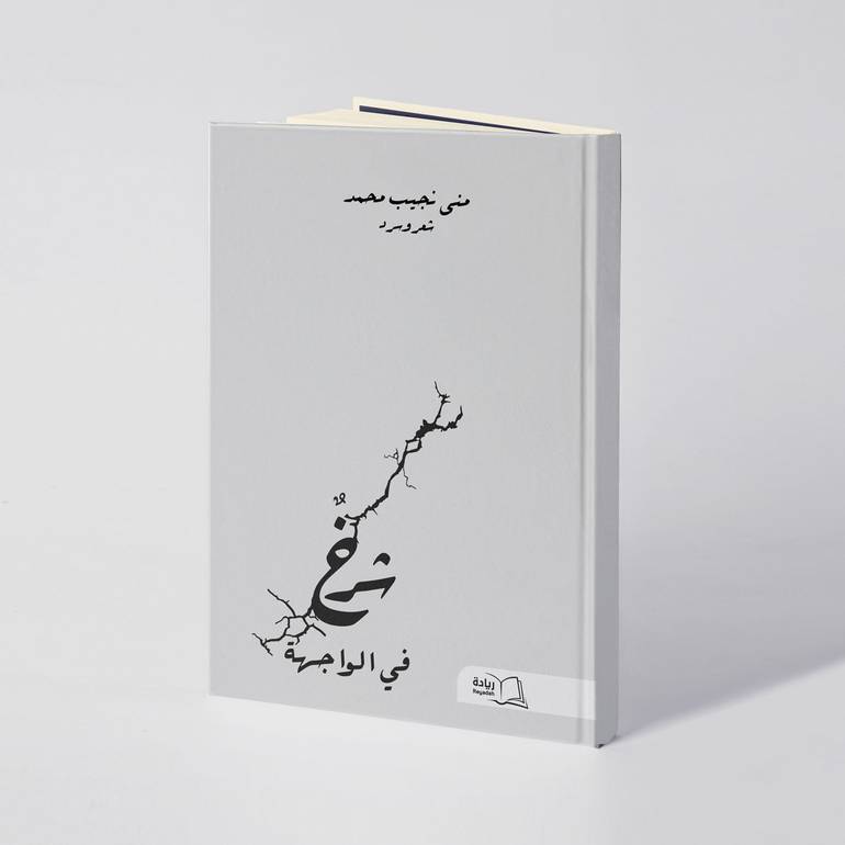 شرخٌ في الواجهة - منى نجيب محمد
