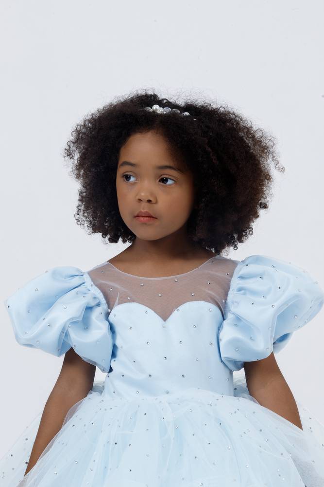 Crystal Sapphire Gown