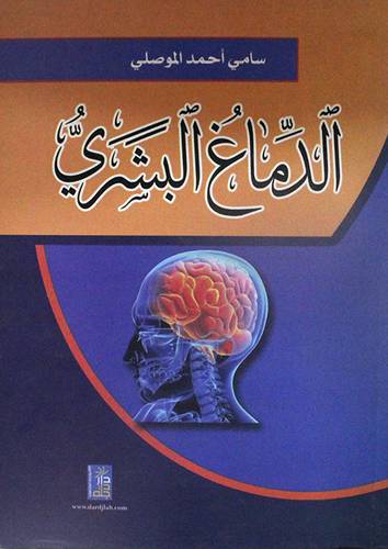 الدماغ البشرى (كرتونى)