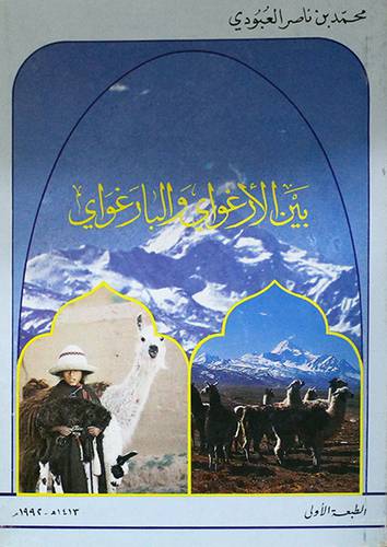 بين الارغواى والبارغواى (غلاف)
