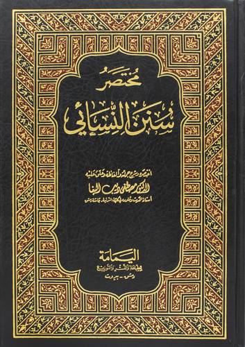 مختصر سنن النسائى