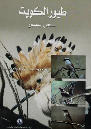 طيور الكويت سجل مصور