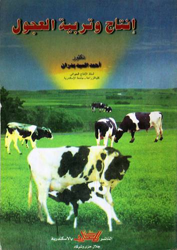 انتاج وتربية العجول