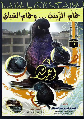 حمام الزينة 00 وحمام السباق