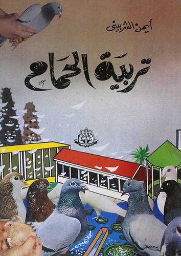 تربية الحمام