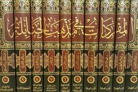 المفردات فى مذهب الحنابلة 10/1 (مجلد) شاموا