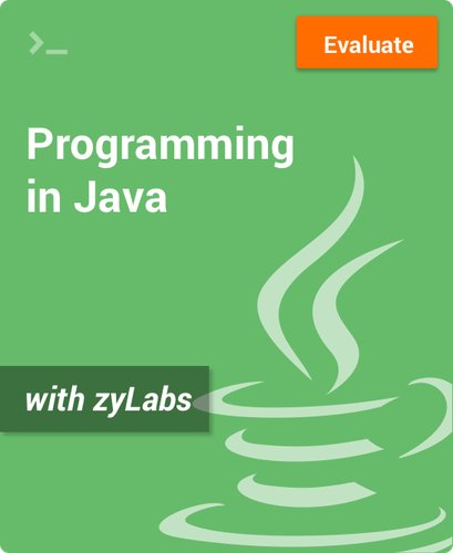 Programming in Java with zyLabs ZyBooks course (نسخة الكترونية)