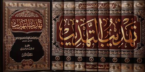 تهذيب التهذيب 8/1 (مجلد) ابيض -لونان