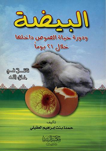 البيضة ودورة حياة الصوص داخلها خلال 21 يوما