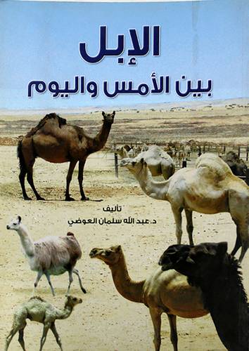  الابل بين الامس واليوم