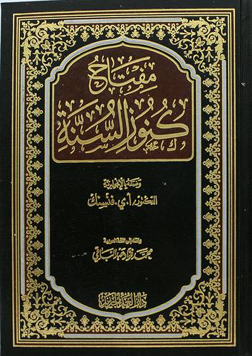 مفتاح كنوز السنة ( مجلد ) شاموا