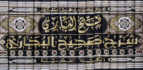 فتح البارى شرح صحيح البخارى 17/1  مجلد شاموا