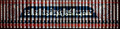 تهذيب الكمال في اسماء الرجال 35/1 ( مجلد ) شاموا ( بلوحة )