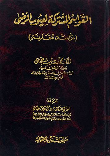 القواسم المشتركة لعيوب الرضي ـ دراسة مقارنة (مجلد)