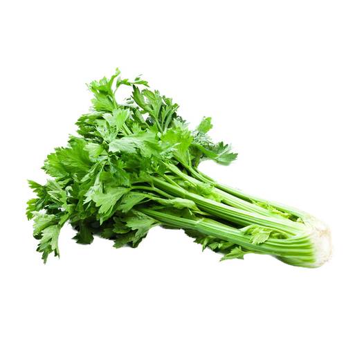 بذور الكرفس 100 بذرة 