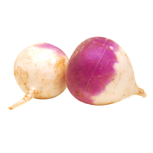بذور اللفت- 100 بذرة 