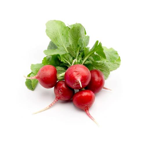 بذور نبات الفجل الاحمر 200 بذرة