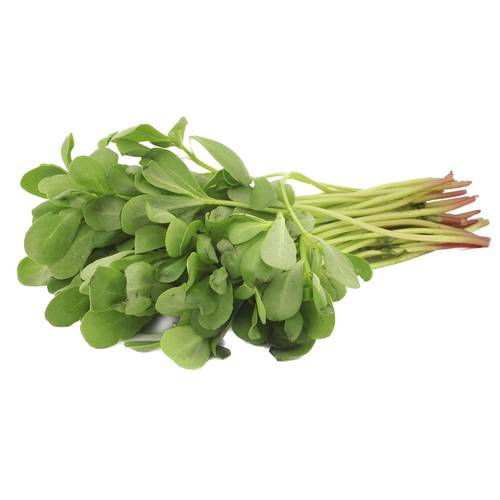 الرجلة 500 بذرة 