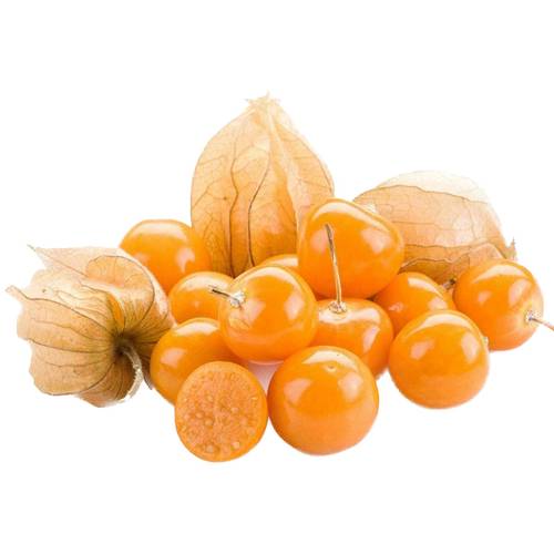 بذور الحرنكش - 100 بذرة
