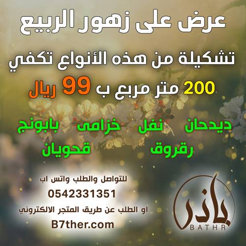 تشكيلة بذور الزهور الربيعية