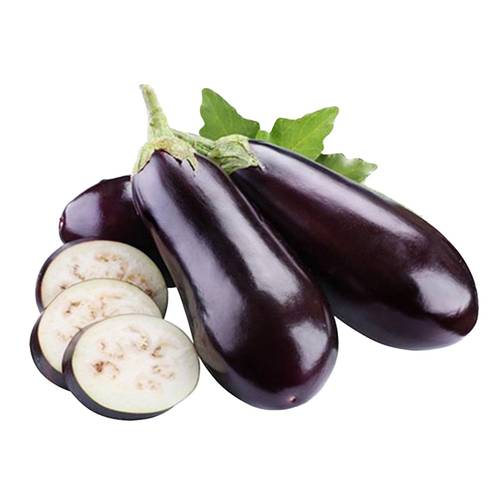 بذور الباذنجان 100 بذرة 
