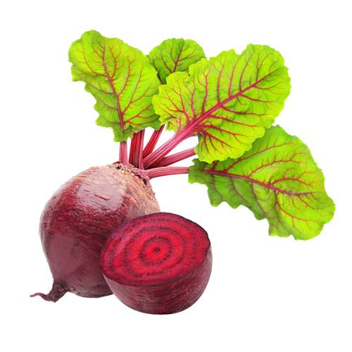 بذور الشمندر 100 بذرة