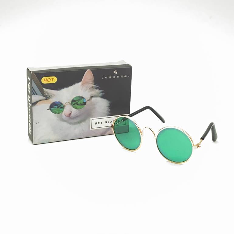 نظارة قطط