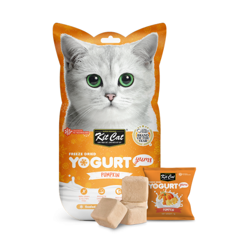 KIT CAT FREEZE DRIED YOGURT YUMS PUMPKINS