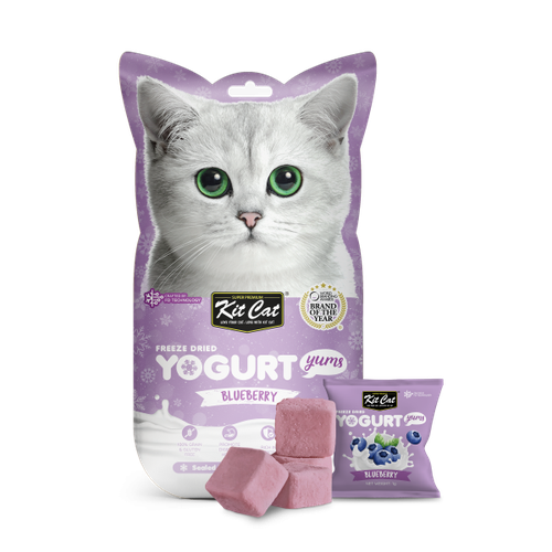 kit cat freeze dried yogurt yums blueberry