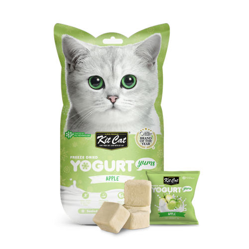 kit cat freeze fried yogurt yums apple