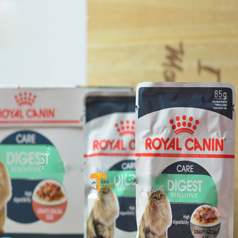 رويال كانين دايجستف  royal canin digest  وزن 85 جم