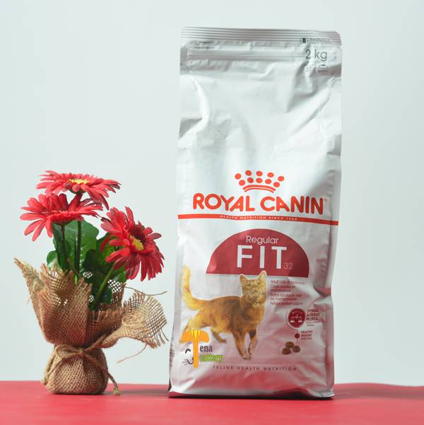 اكل قطط رويال كانين royal canin fit dry food  فيت