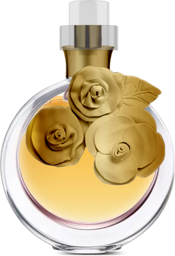 جيني كولكشن عطر نسائي زهري-25مل
