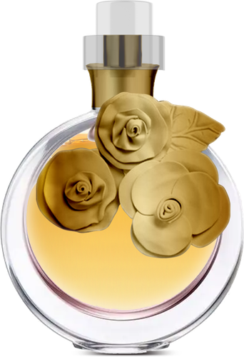 جيني كولكشن 8822 عطر نسائي زهري-25مل