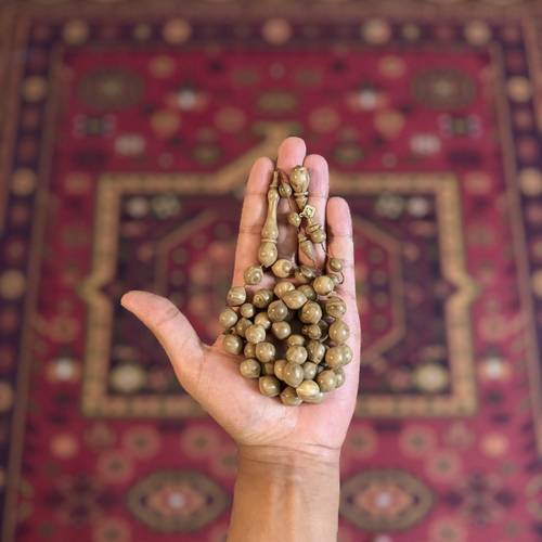 فاتوران خرتيتي تمليكة