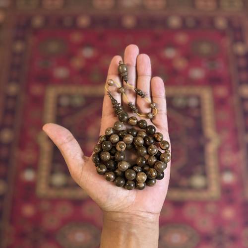 فاتوران ضبعه تمليكة