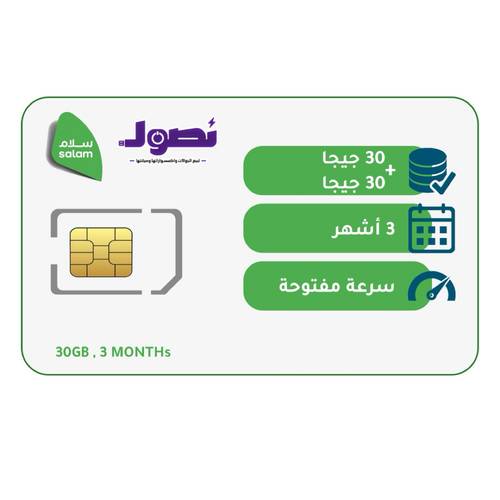 شريحة بيانات 30 جيجا + 30 جيجا | لمدة 3 شهر | سلام موبايل
